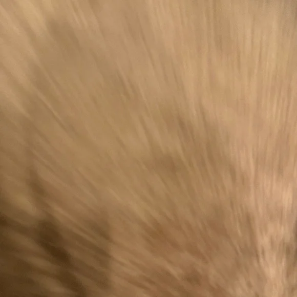 Isabel Marant Cream Floral Lace Mini Skirt - Picture 4 of 4